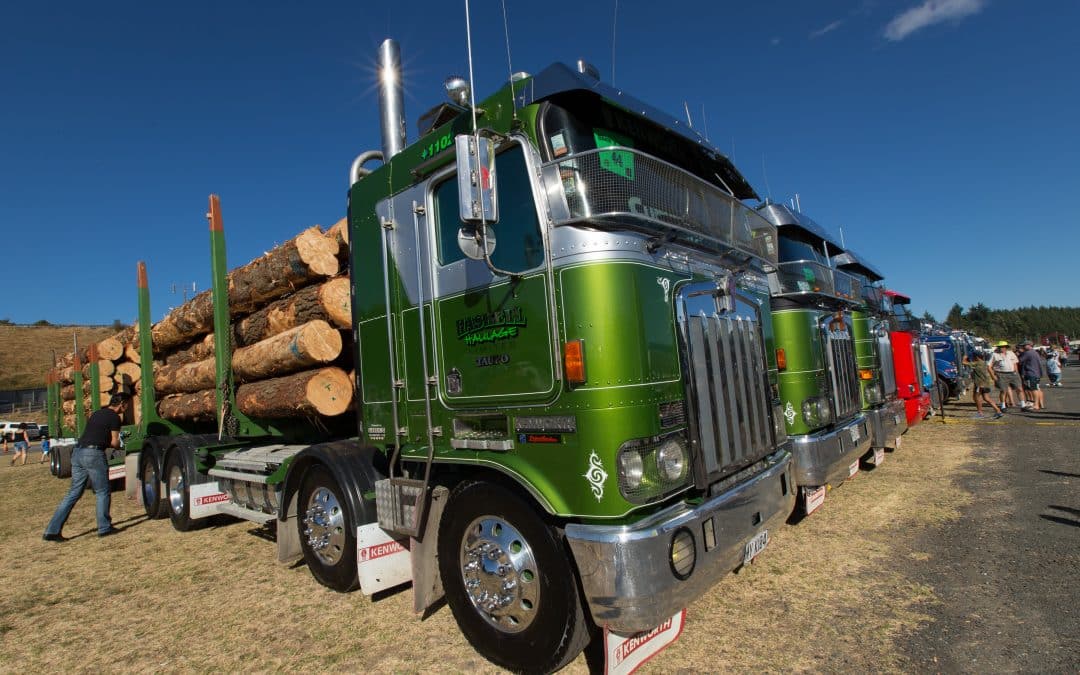 See You At The Transport Heavy Equipment Expo (THE Expo), Mystery Creek